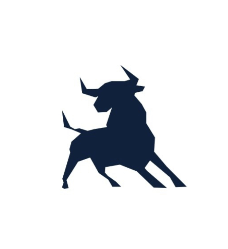 Finance and Investment Club Logo