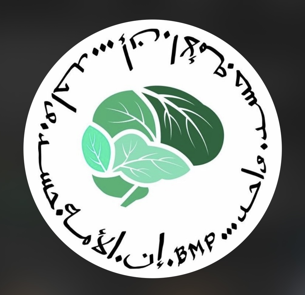 The Beautiful Mind Project Logo